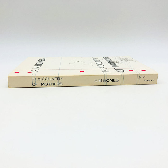 In A Country Of Mothers Paperback A. M. Homes 1993 Psychotherapist Relationships 3