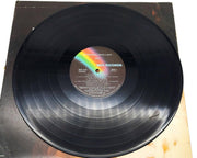 Cher Bittersweet White Light 33 RPM LP Record MCA Records 1973 5