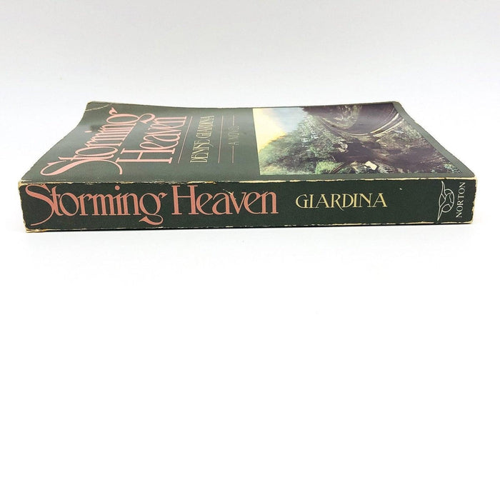 Storming Heaven Paperback Denise Giardina 1987 Battle Blair Mountain Appalachia 3