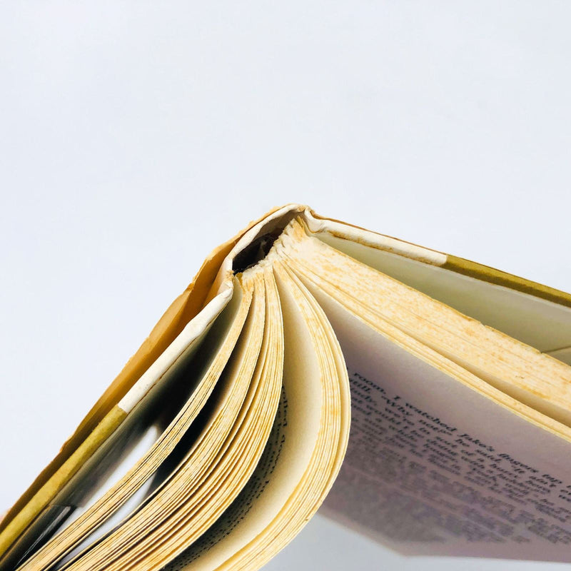 Anne Tyler Book Earthly Possessions Hardcover 1977 BCE Bank Robbery Housewife 10