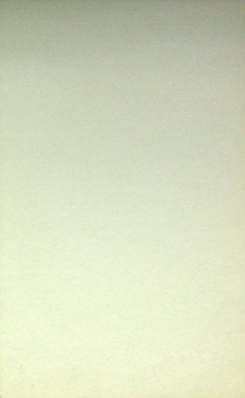 Elke Sommer Pin Up Promo Photo Card US 60s German Actress Bikini Driftwood Beach