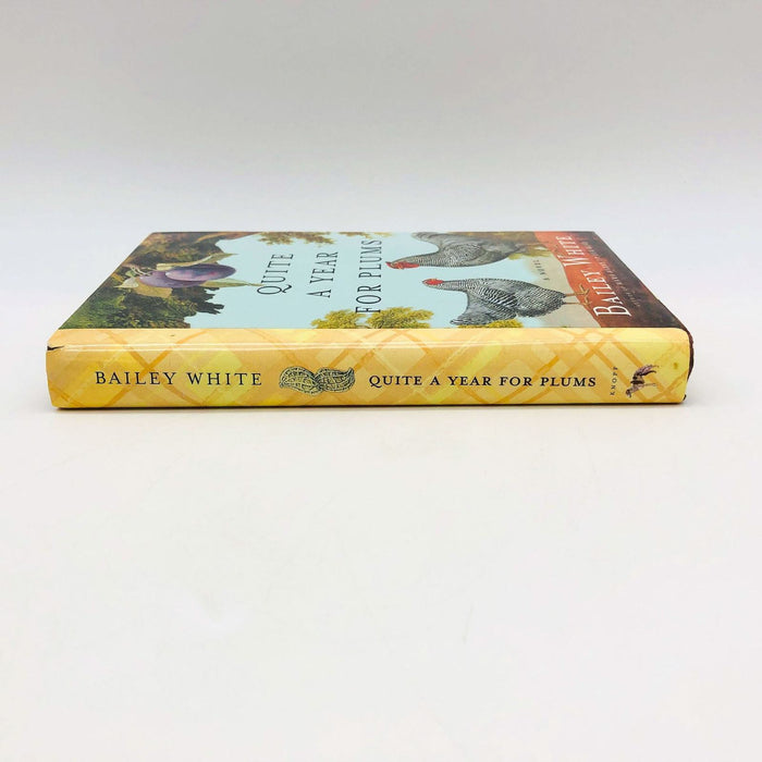 Bailey White Book Quite A Year For Plums Hardcover 1998 1st Edition Romance 3