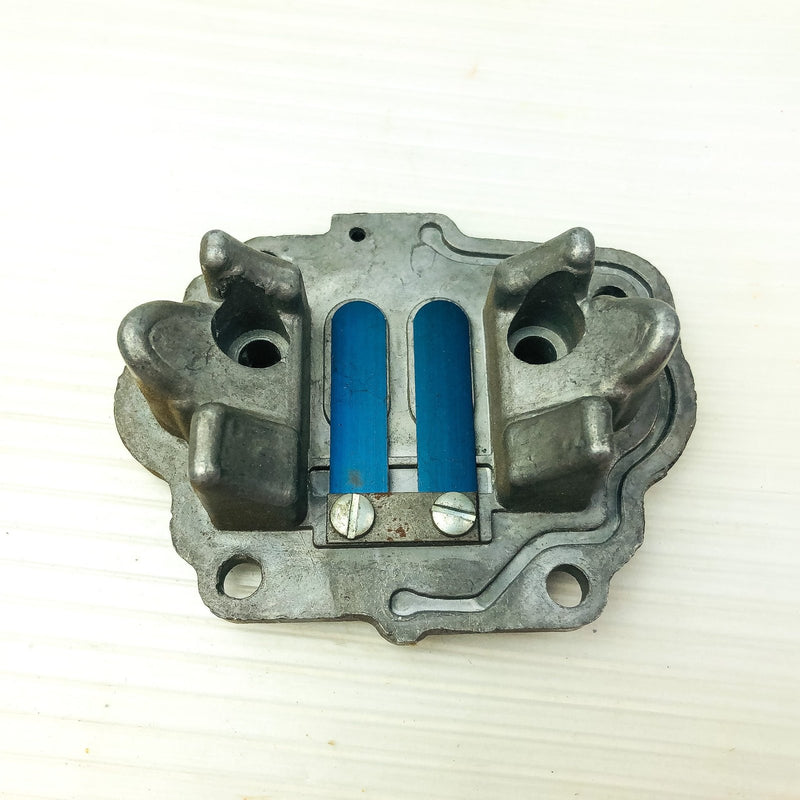 Briggs and Stratton 677362 Reed Plate Genuine OEM New NOS Replaces 602839 6