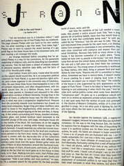 Eventide Magazine Number 6 Ted Leo, Euphone, Looper, Silver Scooter 3