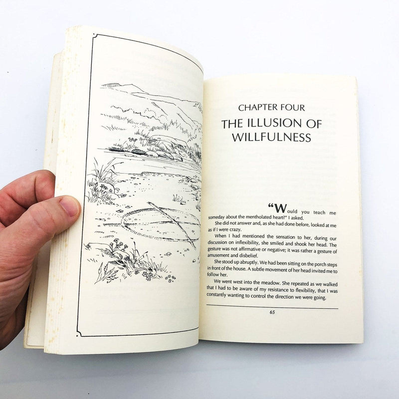 Woman Between The Wind Paperback Heather Hughes Calero 1990 Shamanism Spiritual 9