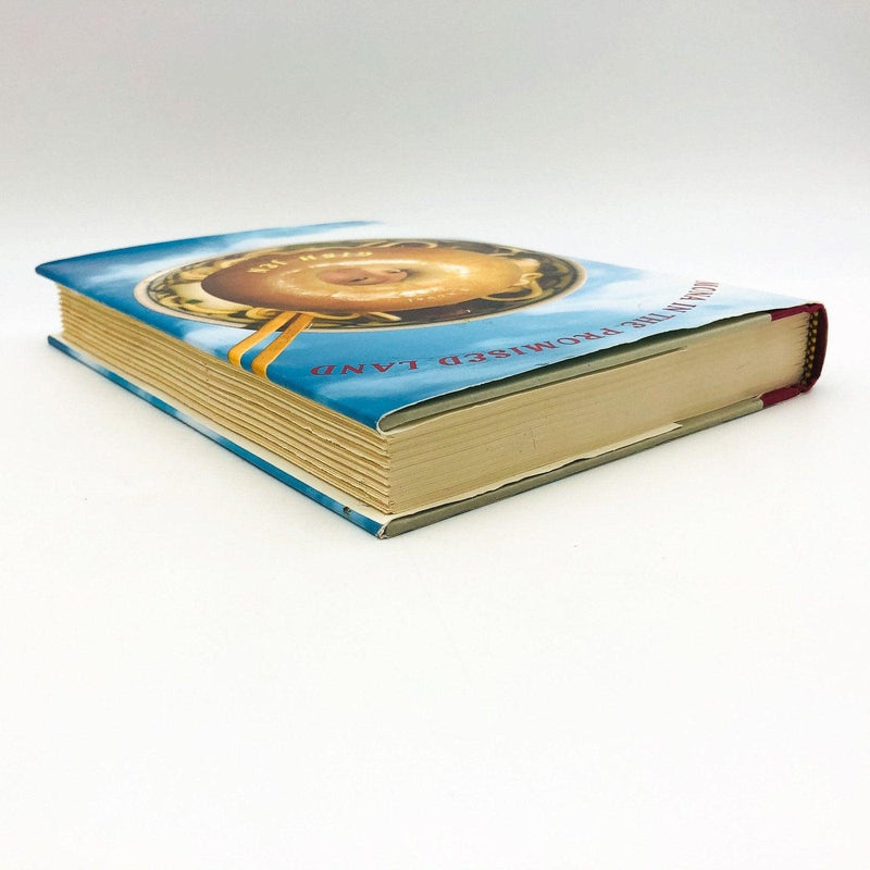 Mona In The Promised Land Hardcover Gish Jen 1996 Chinese American Families Love 5