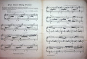 Nocturne Hunting Son Blind Harp Player Vintage Sheet Music AM Virgil 1913 Piano 2