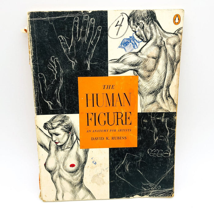 The Human Figure Paperback David K. Rubins 1978 An Anatomy For Artists Teaching 1