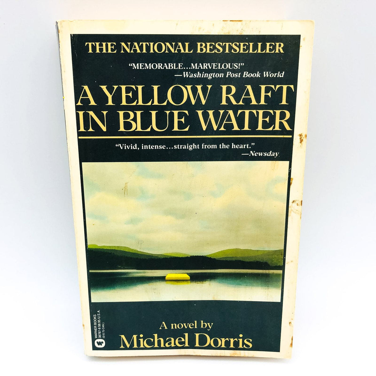 A Yellow Raft In Blue Water Paperback Michael Dorris 1988 Native Ameri ...