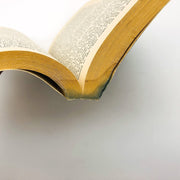 A Yellow Raft In Blue Water Paperback Michael Dorris 1988 Native American Women 9