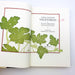 Chez Panisse Vegetables Hardcover Alice Waters 1996 Recipes Restaurant Ex Librar 7