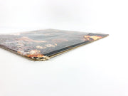 Captain & Tennille Come in From the Rain Record LP SP-4700 POSTER & Lyrics 1977 5