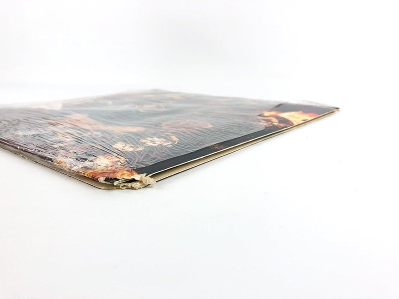 Captain & Tennille Come in From the Rain Record LP SP-4700 POSTER & Lyrics 1977 5