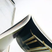 The Mysterious Bog People Paperback C Bergen PHD 2002 Europe Legends Folklore 9