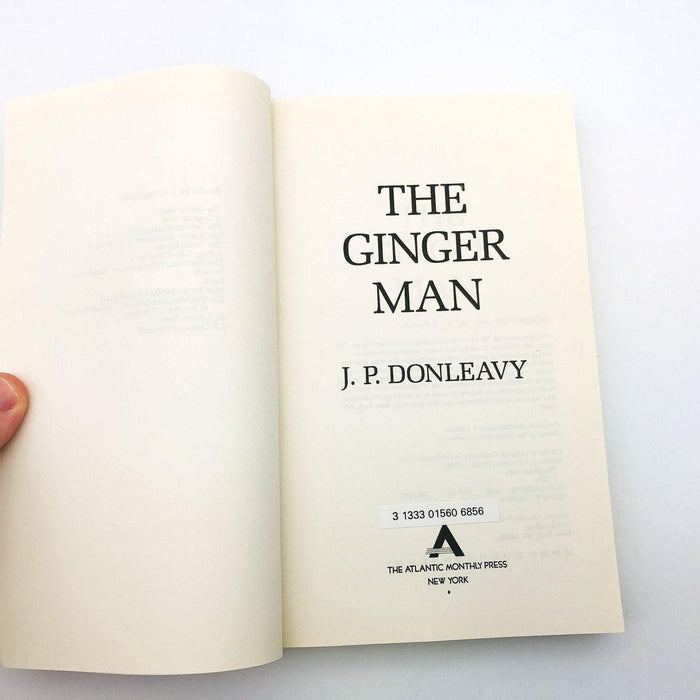 The Ginger Man Paperback J P Donleavy 1988 WW2 Ireland Student Ex Lib Cpy2 7