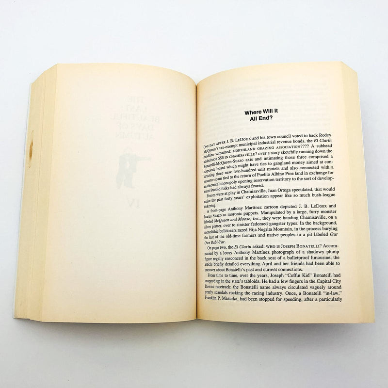 The Magic Journey Paperback John Nichols 2000 New Mexico Great Depression Town 8