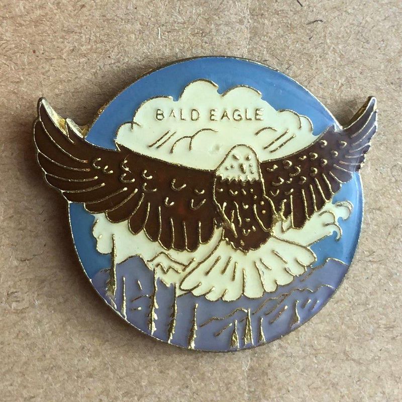 Bald Eagle Lapel Pin Soaring Wings Spread Alaska Mountains Enamel Large 2