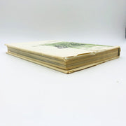 Euclid Beach Park Hardcover Amusement Park Books Inc 1977 Closed For The Season 5