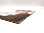 Barbra Streisand Songbird Record 33 RPM LP JC 35375 Columbia 1978 4