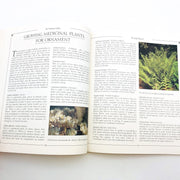 The Healing Garden Paperback Sue Minter 1995 Natural Haven Body Senses Spirit 8