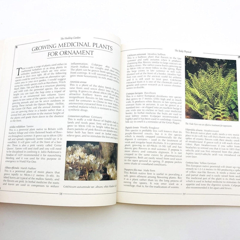 The Healing Garden Paperback Sue Minter 1995 Natural Haven Body Senses Spirit 8