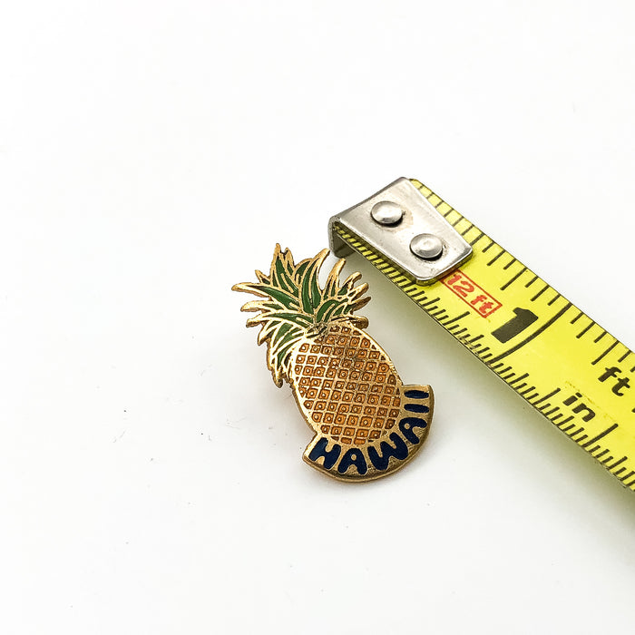 Hawaii Pineapple Lapel Pin State Fruit of Hawaii Gold Color Border 4