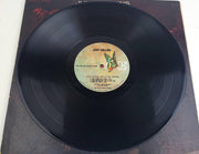 Judy Collins True Stories And Other Dreams 33 RPM LP Record Elektra 1973 7