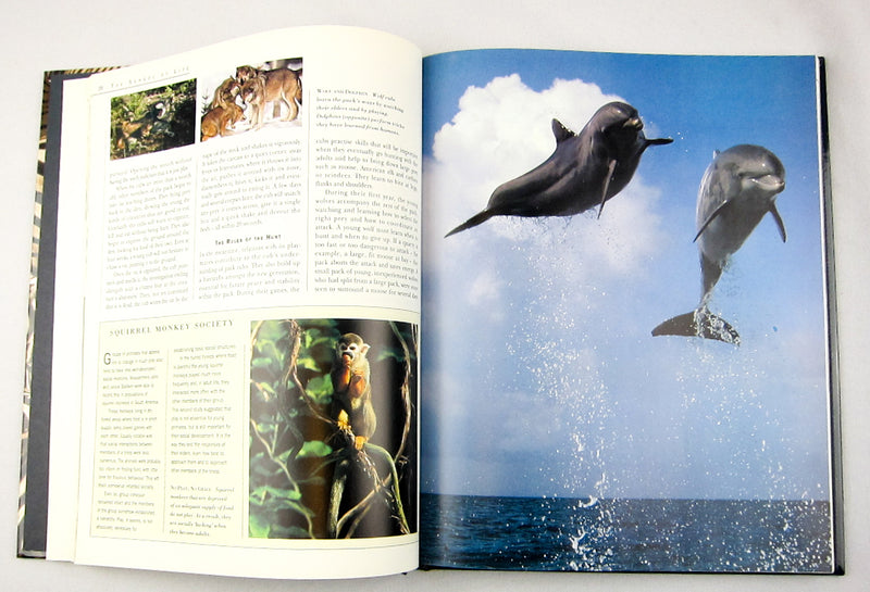 Reader's Digest: Intelligence in Animals: The Earth (Hardcover) - 1997 | USED