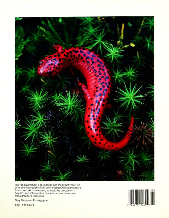 Timeline Ohio Historical Magazine Mar/April 1993 Vol 10 No 2 Humble Salamander 3