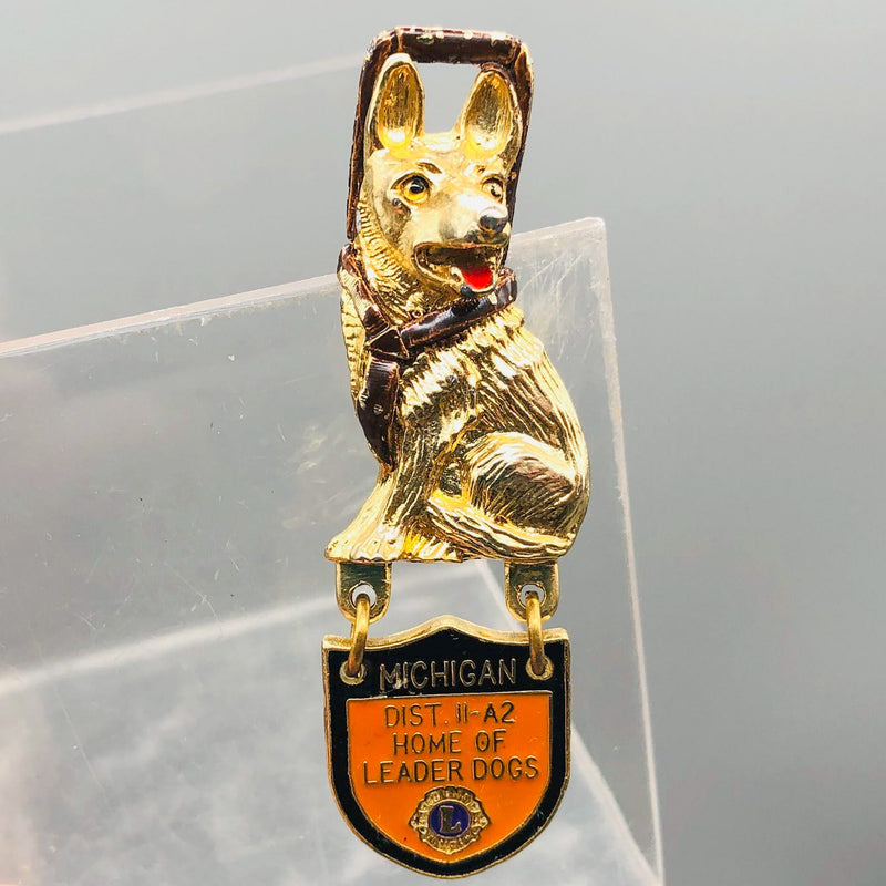 Vintage Lions Club Lapel Pin Pinback District 11-A2 Leader Dogs Home Michigan