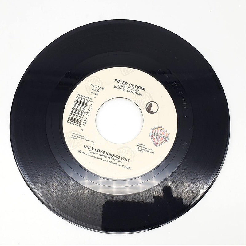 Peter Cetera Best Of Times Single Record Warner Bros. 1988 7-27712 4