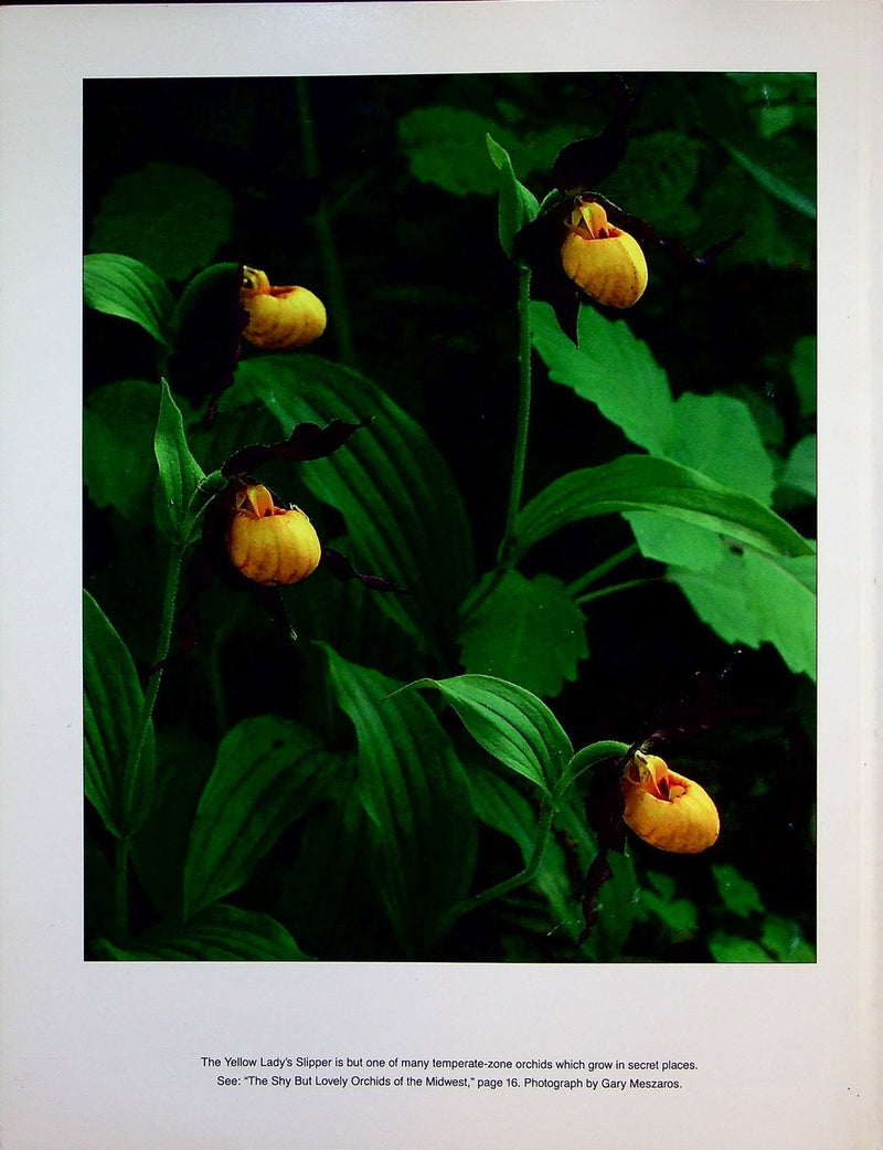 Timeline Ohio Historical Magazine April/May 1985 Vol 2 No 2 Auto Age Rubber City 3