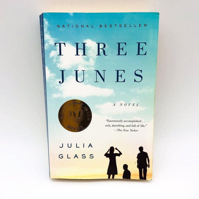 Three Junes Paperback Julia Glass 2002 Scotland Father Sons Long Island NY 1