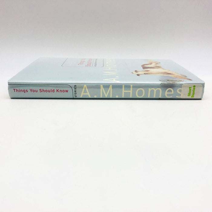 Things You Should Know Hardcover A. M. Homes 2002 USA Social Life Customs Ex Lib 3