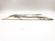 Barbi Benton Something New Record 33 RPM LP PB 411 Playboy Music 1976 3