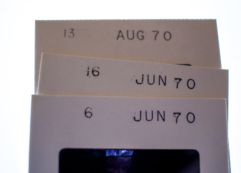 Vintage 35mm Photo Transparency Slides - Graduation Cookout 1970 | Lot of 3