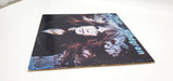 Todd Rundgren Hermit Of Mink Hollow LP Record Bearsville 1978 BRK 6981 Copy 2 4