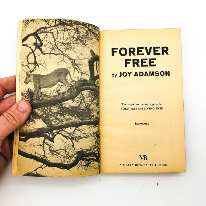 Forever Free Paperback Joy Adamson 1964 Lioness Cubs Family Human Caretakers 6