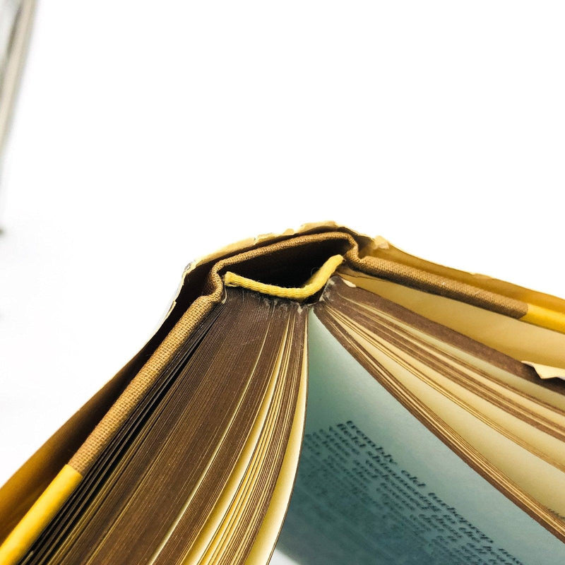 Dream Children Hardcover Gail Godwin 1976 Childless Women Life Crisis 1st Editio 10