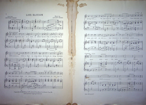 Sheet Music Love Blossom Gwynne Lucien Denni 1919 J W Jenkins Sons Piano Song 2 2