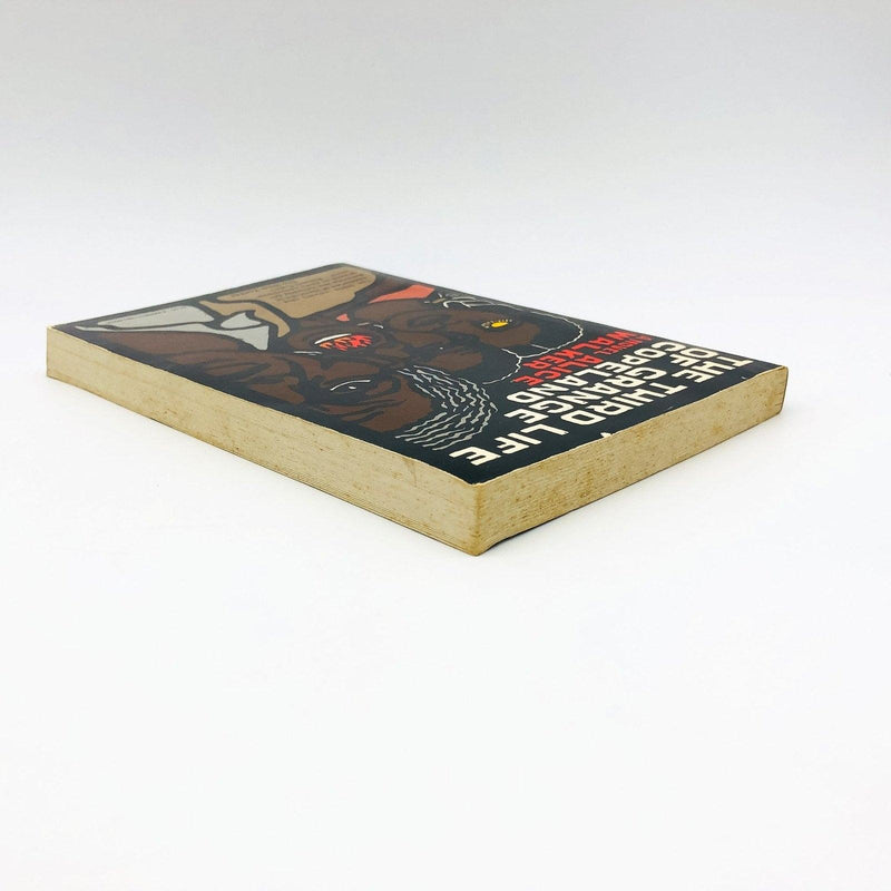 The Third Life Of Grange Copeland Paperback Alice Walker 1970 African American 6