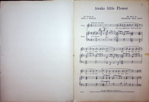 Sheet Music Awake Little Flower Fred Bowles Gertrude Sans Souci 1911 Ricordi 2