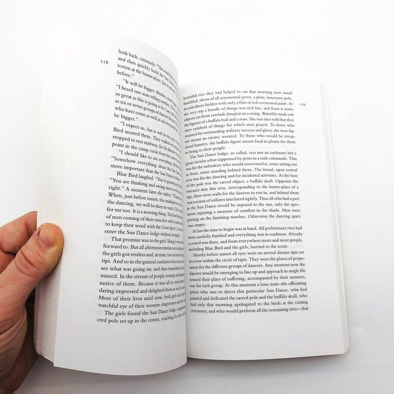 Waterlily Paperback Ella Cara Deloria 1988 Agnes Picotte Biographical Sketch 8