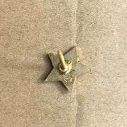 United Brotherhood of Carpenter's UBC Lapel Pin Bay Area California Local Star 4