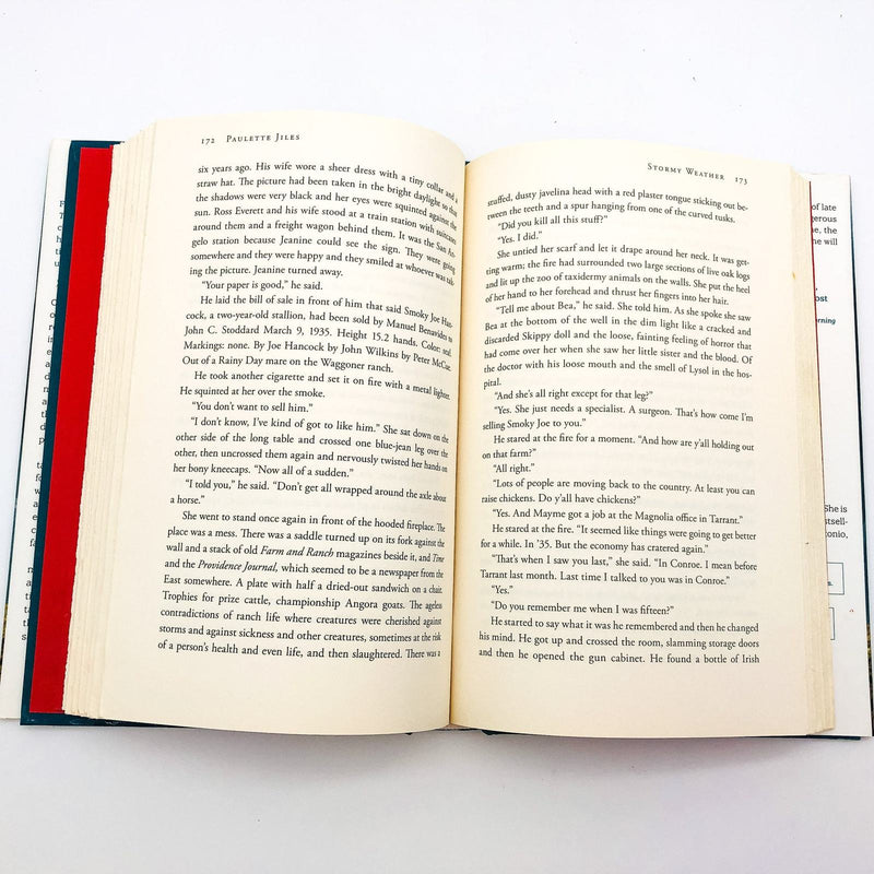 Stormy Weather HC Paulette Jiles 2007 Texas Depression Oil Family 1st Edition 9