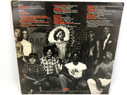 Village People Self-Titled Vinyl Record LP Casablanca NBLP 7064 - Excellent 2