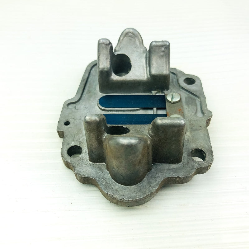 Briggs and Stratton 677362 Reed Plate Genuine OEM New NOS Replaces 602839 5