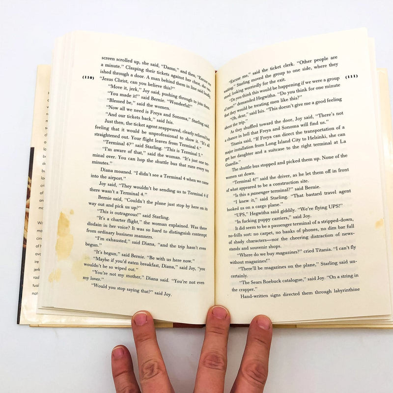 Hunters and Gatherers Hardcover Francine Prose 1995 1st Edition Relationships 9