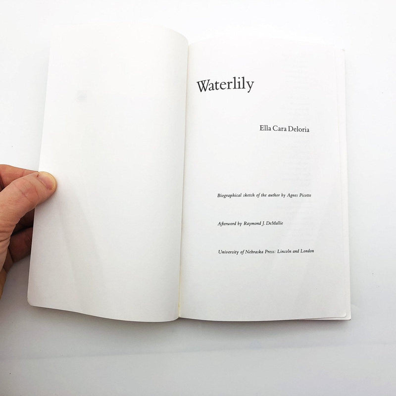 Waterlily Paperback Ella Cara Deloria 1988 Agnes Picotte Biographical Sketch 6