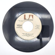 Cornelius Brothers Treat Her Like A Lady 45 RPM Record United Artists 1971 2